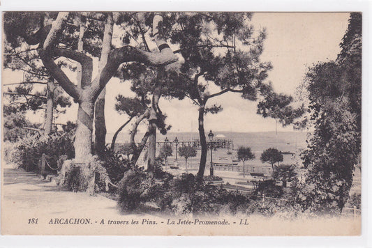 Carte Postale CPA 33 Arcachon - À Travers Les Pins - La Jetée-Promenade