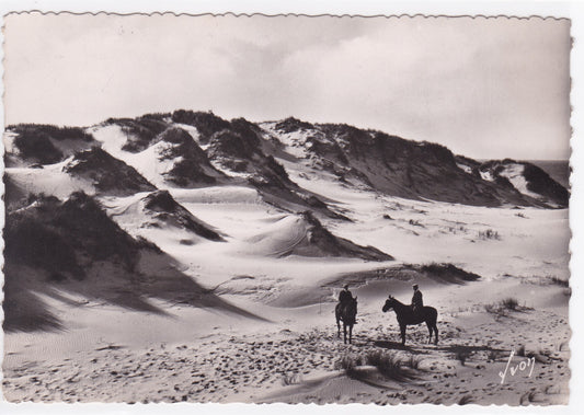 Carte Postale CPSM 62 Berck-Plage - Les Dunes