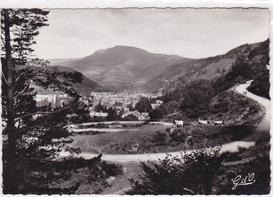 Carte Postale CPSM 63 Le Mont-Dore - Col De La Croix Saint-Robert - Puy Gros
