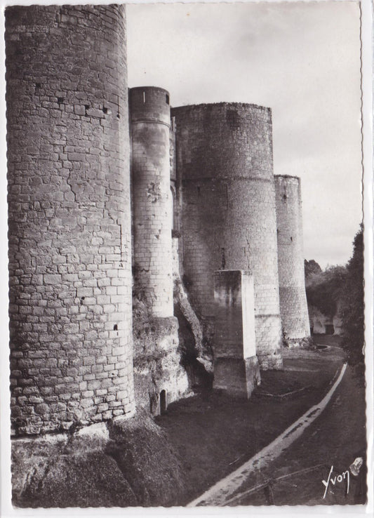 Carte Postale CPSM 37 Château De Loches - Façade Occidentale