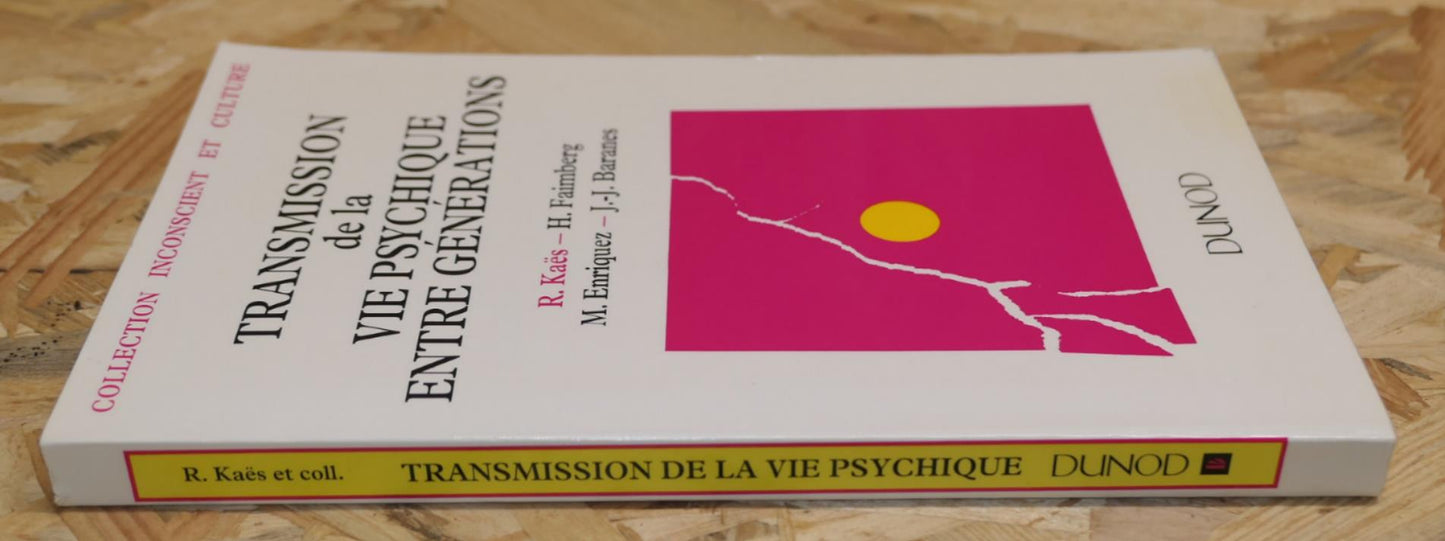 Transmission De La Vie Psychique Entre Générations - Collectif - Dunod 1993
